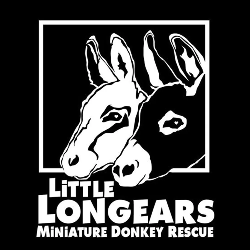 Little Longears miniature donkey rescue supported by Hamilton Telehealth