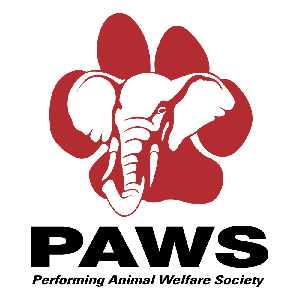United Paws Rescue supported by Hamilton Telehealth
