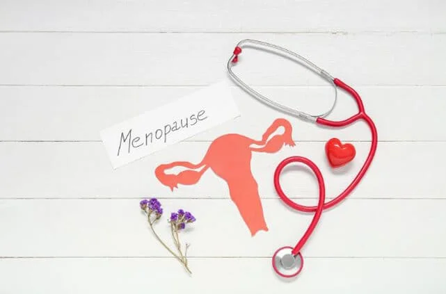 Images of a stethoscope flower paper uterus for online menopause care
