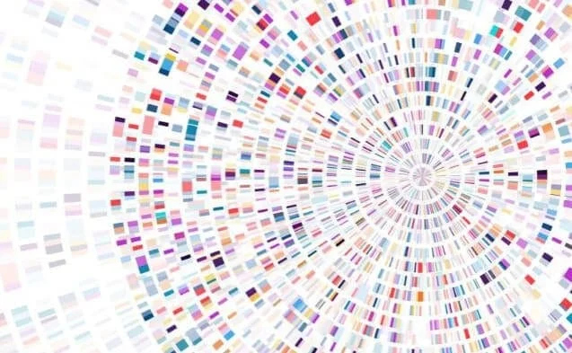 DNA-test-infographic-for-MTHFR-gene-mutation-article-by-hamilton-telehealth