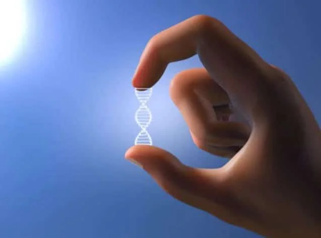 Telemedicine Services: Revolutionizing Healthcare Access and Specialized Care article image