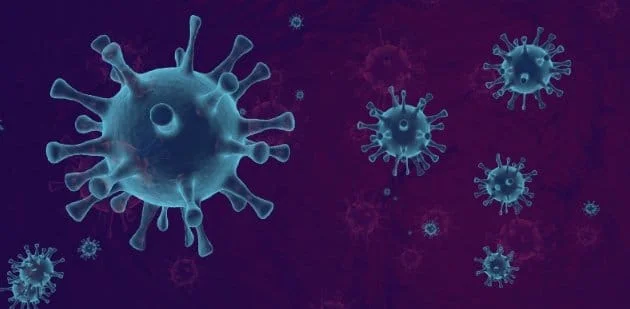 A render of the bacterium Borrelia burgdorferi for the article on how to navigate tick season 2026