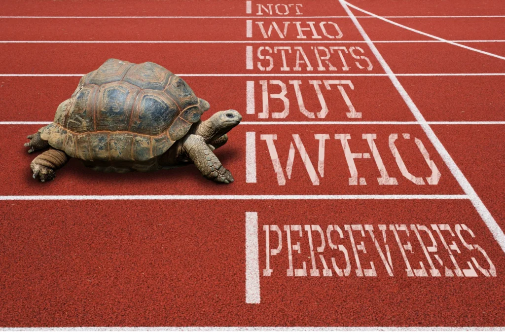 The Confidence Code: Unlocking Your Path to Success article image