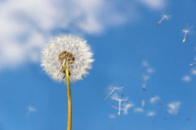 The Rise of Telehealth: Your Ultimate Guide to Managing Symptoms and Getting an Instant Allergy Prescription Refill Online article image