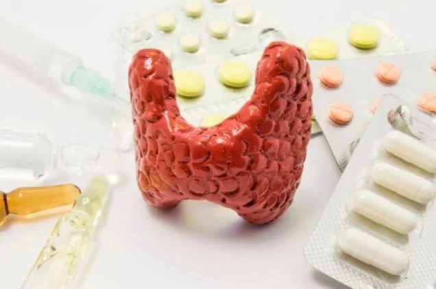 Model_thyroid_gland_and_pills
