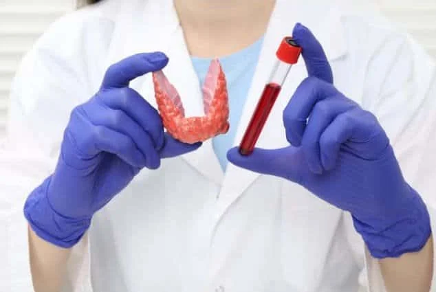 Medical_professional_holding_a_model_thyroid_gland_and_blood_sample