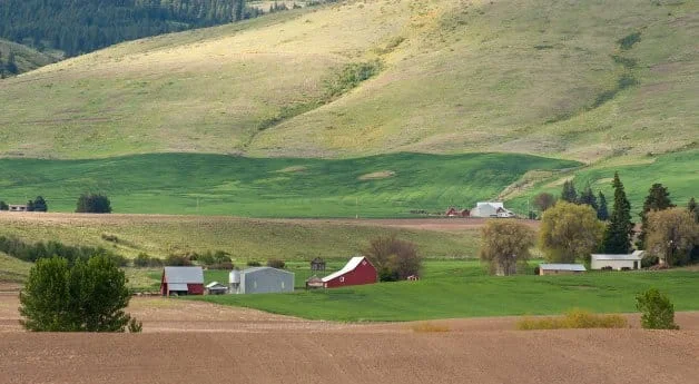 Virtual Functional Medicine: Accessible Specialist Care for Rural Communities article image