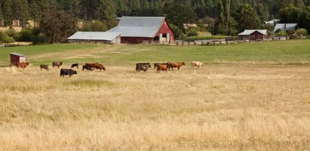 Virtual Functional Medicine: Accessible Specialist Care for Rural Communities article image