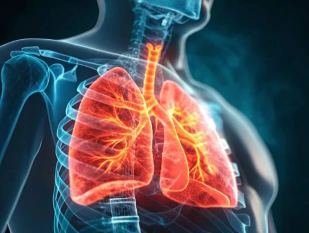 An image of the respiratory system