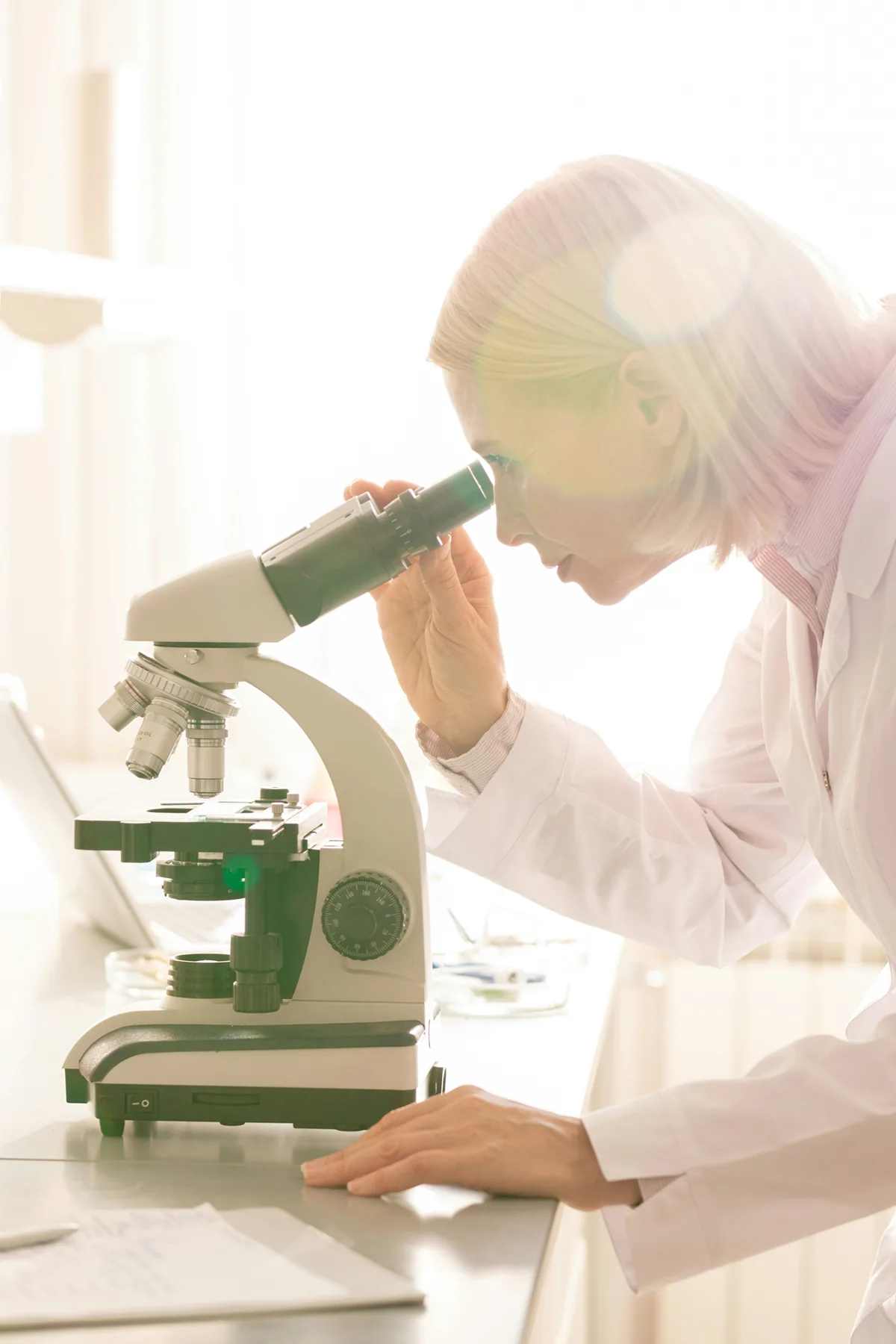 Lab professional reviewing testing in a clinical setting