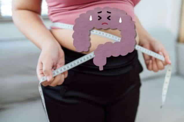 Graphic-representing-the-leaky-gut-weight-gain-connection