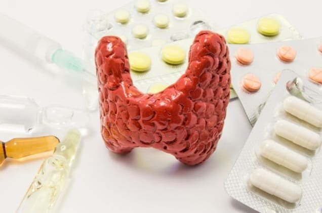 Model_thyroid_gland_and_pills