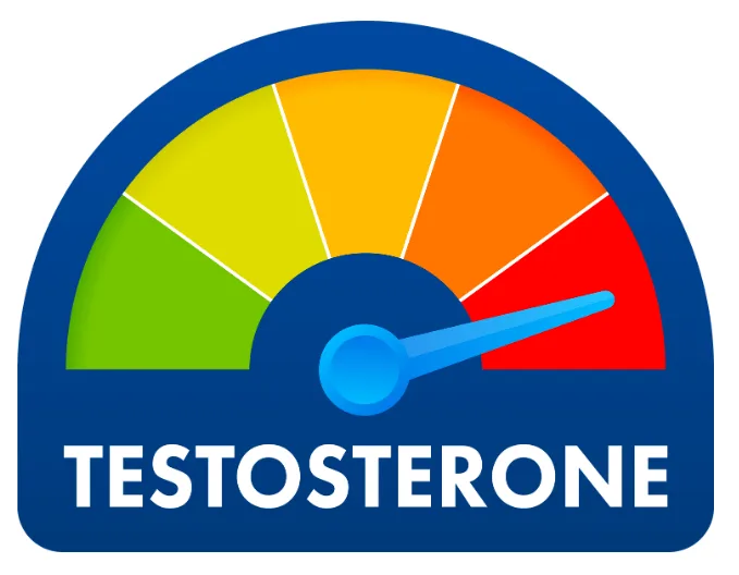 Testosterone Graphic for the Article Sermorelin vs Testosterone
