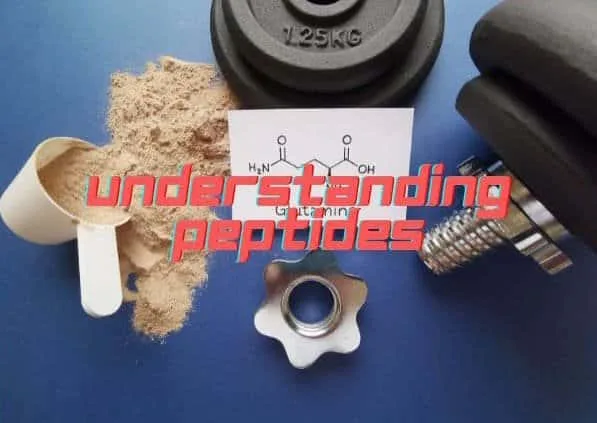 the words understanding peptides with protein powder and a dumbell in the background