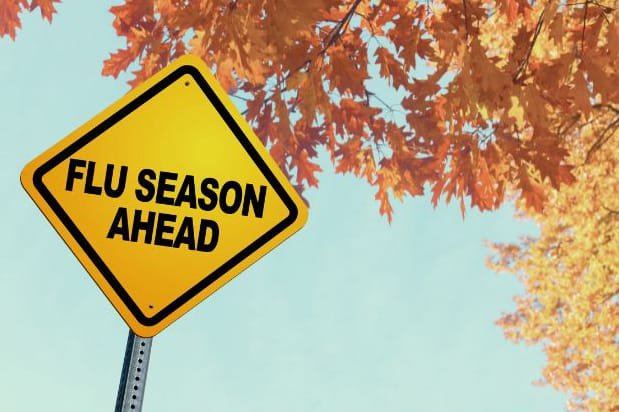 Composite photo of road sign saying "flu season ahead" with autumn leaves in the background