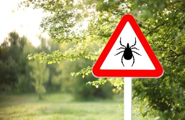 A road sign with an image of a tick for the article on how to navigate tick season 2026