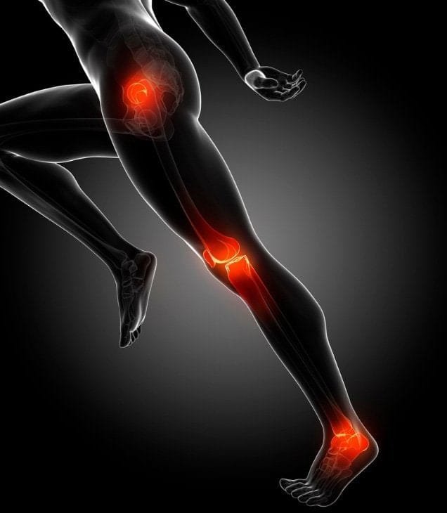 Image showing joints from the hip to the foot for the blog post on peptides for joint pain in athletes