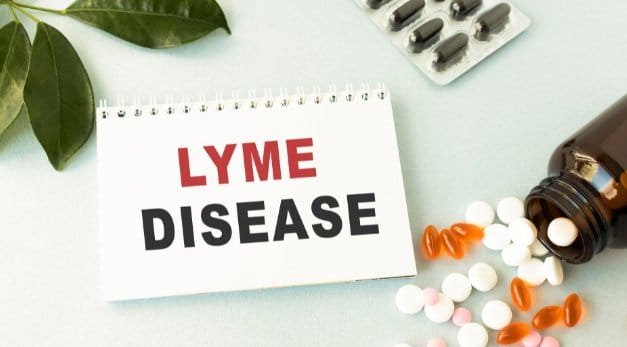 The words Lyme Disease written on medical folder with patients files, pills and green leaf on background for the blog post on Tick Season 2026